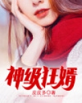 神级狂婿岳风免费全文阅读无广告