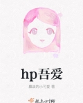 HP吾爱百度云