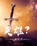 英雄？或许吧