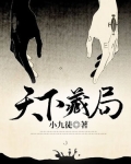 天下藏局