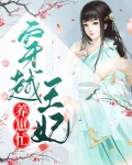 穿越王妃追夫忙电视剧