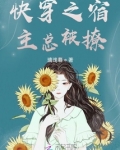 快穿之宿主总被撩