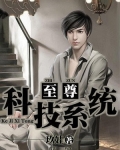 至尊科技系统