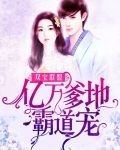 双宝来袭亿万爹地求娶妻