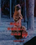 人皮子讨封，黄皮子都懵逼了