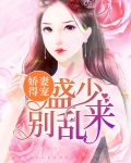 盛宠娇妻免费阅读