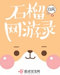 石榴网游录