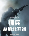 我在缅北当佣兵