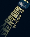 金牌助理小说讲什么