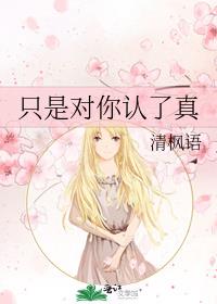 只是对你认了真小说讲的什么