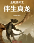 全职法师之伴生真龙小说