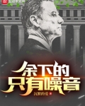 余下的只有噪音在线阅读