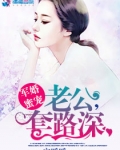 军婚蜜宠：老公，套路深