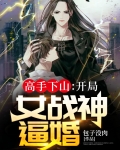 高手下山:开局九封婚书全文免费阅读