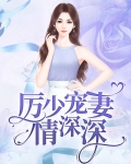 厉少的情深如海免费阅读