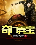 奇门弄宝1-100集免费