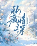藏匿深情小说免费阅读