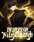 医武双绝下山纵横都市