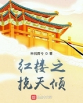 红楼之挽天倾
