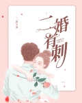 二婚有刺
