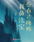 我的法宝会自己修炼