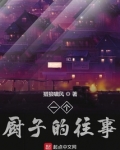 一个厨子的往事小说