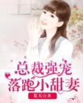 小说总裁强势宠妻