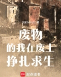 我在废土有个商店 小说