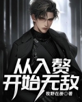 从入赘开始无敌