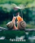 青春无悔