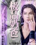极品奶爸逍遥大帝 小说