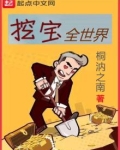 挖宝全世界
