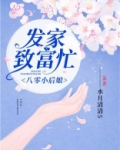八零小后娘：发家致富忙