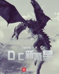 DC新氪星