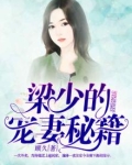 梁少的宠妻秘籍免费阅读