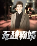 史上最佳女婿全文免费阅读