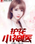 护花小神医小说