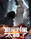 相亲对象太棒了小说TXT