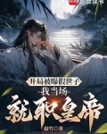 开局假冒帝皇铠甲 小说