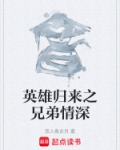 英雄归来d-men