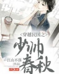 穿越民国之少帅春秋