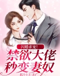 闪婚求宠！禁欲大佬秒变妻奴