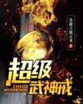 超级武神戒 小说