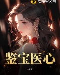 鉴宝医仙全集