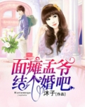 面瘫孟爷,结个婚吧一样的小说