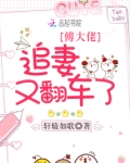 傅大佬追妻又翻车了