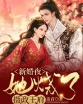 新婚夜,她烧了摄政王府有声