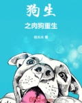 宠物狗 生肉