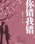 你错我错皆是错歌曲视频