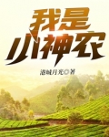 我是小神农TXT奇书网下载